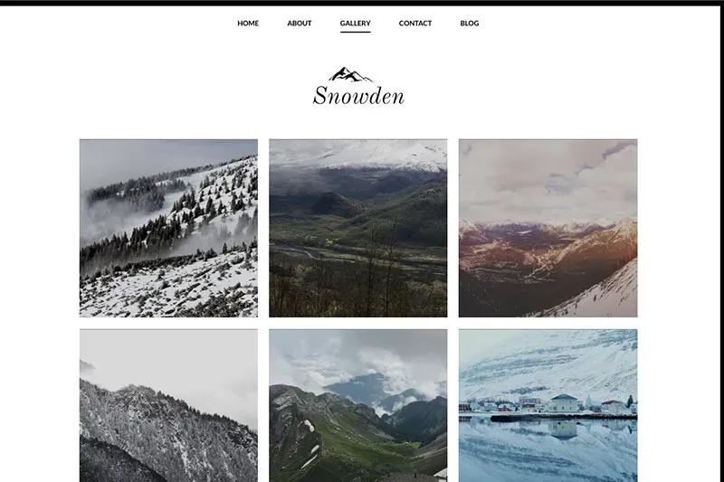 Sample WordPress theme - photo portfolio.