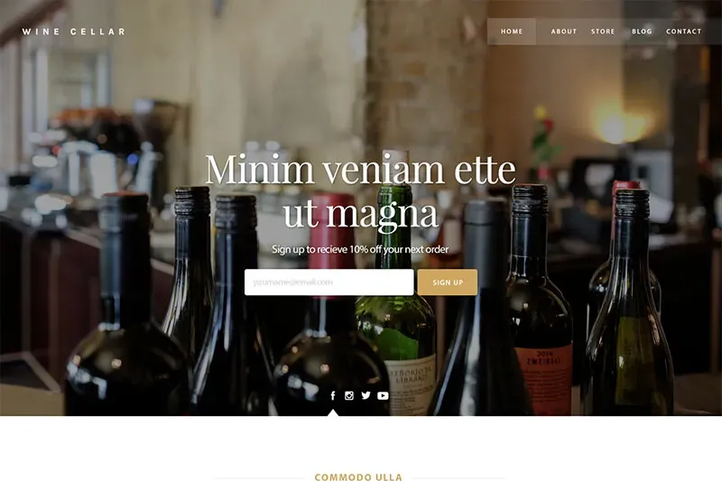 Sample WordPress theme - winery.